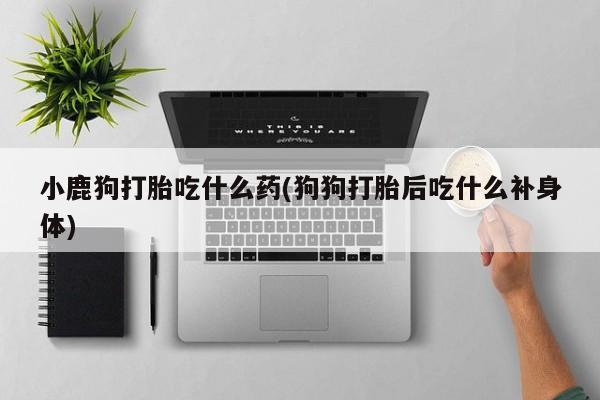 打胎药货到付款小鹿狗打胎吃什么药(狗狗打胎后吃什么补身体)